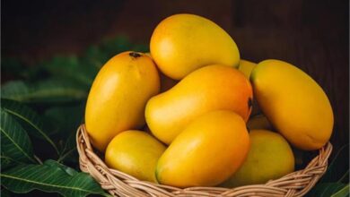 Photo of विदेशों में बढ़ी आम की मांग, भारत से 19% बढ़ गया निर्यात