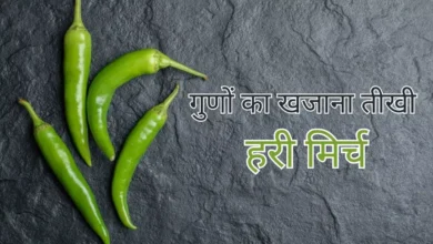 Photo of कैंसर से बचा सकती है हरी मिर्च, हैरान कर देंगे इसके फायदे
