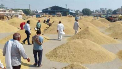 Photo of गोहाना अनाज मंडी में धान के भाव में आई तेजी, किसानों में खुशी की लहर