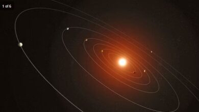Photo of नासा ने खोजा एलियन सौर मंडल, धरती से हैं सात बड़े ग्रह…