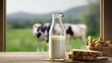 Photo of गाय का दूध पीना चाहिए या भैंस का दूध, जानें दोनों में से कौन है ज्यादा हेल्दी