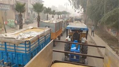 Photo of 200 से 300 रुपये धान के दाम में आई तेजी, आनाज मंडी में उमड़ी किसानों की भीड़…