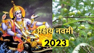 Photo of अक्षय नवमी पर आवंला पूजन से प्राप्त होते हैं शुभ फल