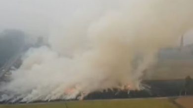 Photo of पंजाब में सिर्फ छह जगह जली पराली, 27 किसानों पर केस दर्ज