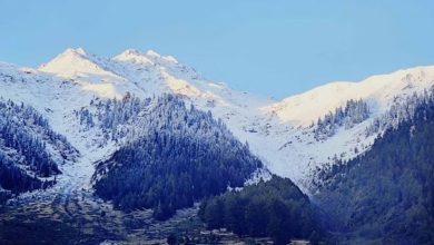 Photo of उत्तराखंड में हवा के झोंकों ने दिलाई ठंडक