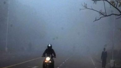 Photo of पंजाब: धुंध में हुए हादसों के बाद चौकस हुआ ट्रैफिक विभाग