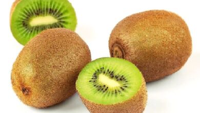Photo of हर दिन कीवी फल को खाने के हैं ये बेहतरीन फायदे, जरुर करें खाने में शामिल!