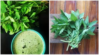 Photo of सर्दियों में किसी वरदान से कम नहीं है बथुआ का साग, जानें इसके फायदे