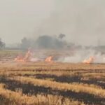 Photo of पंजाब में मशीनें खरीदे बिना ही डकार गए लाखों की सब्सिडी