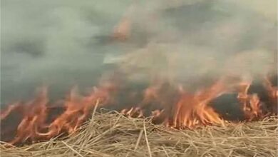 Photo of वायु प्रदूषण: पंजाब सरकार ने जारी की एडवाइजरी, जाने क्या है इसमें