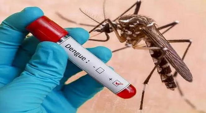 Photo of लखनऊ: जल्द बाजार में उपलब्ध होगी डेंगू की वैक्सीन