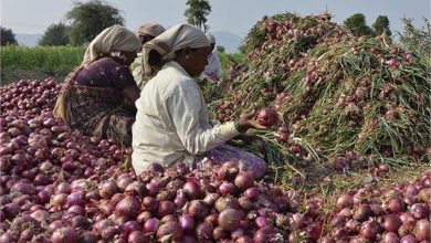 Photo of प्याज निर्यात को न्यूनतम निर्यात मूल्य लागू होने से झटका