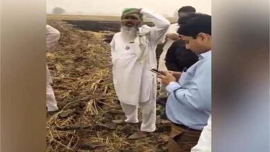 Photo of सरकारी अफसर से जबरन पराली को आग लगवाने पर सीएम मान के आदेशों पर पुलिस ने की कार्रवाई