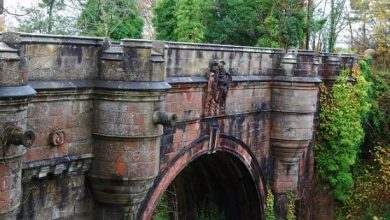 Photo of दुनिया का रहस्यमयी पुल, जहां से कूदकर आत्यहत्या कर लेते हैं कुत्ते!