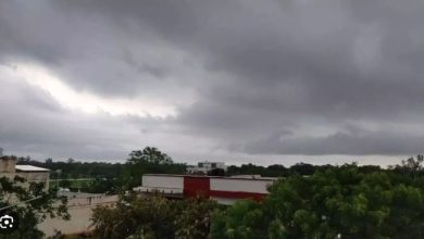 Photo of पंजाब: देर रात बारिश ने बढ़ाई ठंडक, जानें मौसम का हाल…