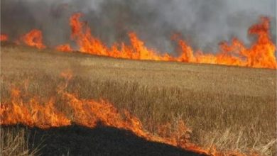 Photo of डीसी की अधिकारियों को पराली जलाने के मामले में सख्त चेतावनी