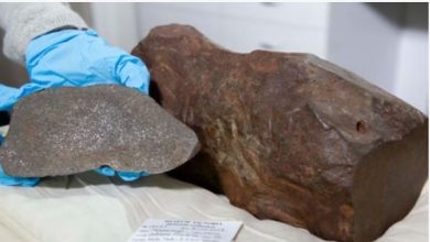 Photo of शख्स के हाथ लगा बेशकीमती पत्थर,  निकला 460 करोड़ साल पुराना!