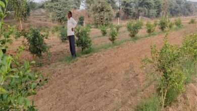 Photo of सैनिक और शिक्षक के बाद अब किसान की भूमिका भी बखूबी निभा रहे बादल निवासी उदयभान!