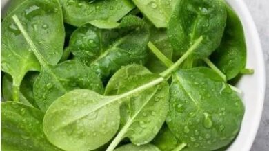 Photo of सर्दियों में पालक खाने के हैं अद्भूत फायदे!