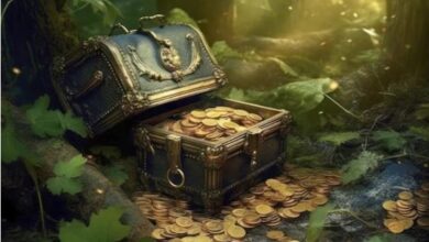 Photo of गोताखोर को मिला प्राचीन सिक्कों का खजाना, गहरे पानी में रेत के नीचे था गड़ा हुआ