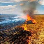 Photo of पंजाब: पराली जलाने पर 264 किसानों के जमीन कागजात पर रेड एंट्री