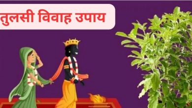 Photo of तुलसी विवाह के दिन करें ये चमत्कारी उपाय, बन जाएंगे सभी बिगड़े काम