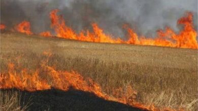 Photo of नहीं थम रहा पंजाब में पराली जलाने का सिलसिला,  जिले में एयर क्वालिटी बिगड़ी