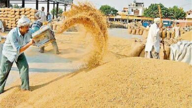 Photo of राइस मिलों में जिला स्तरीय टीम जल्द करेगी फिजिकल वेरिफिकेशन, होगी गुप्त जांच