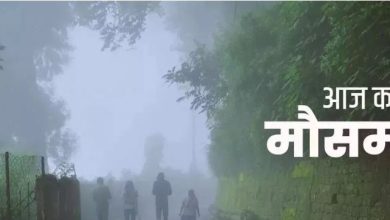 Photo of कमजोर हुआ चक्रवाती तूफान मिधिली, इंडिया मेट्रोलॉजिकल डिपार्टमेंट का अलर्ट