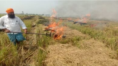 Photo of पंजाब: एक दिन में 1921 जगह जली पराली, टूटा दो साल का रिकॉर्ड!