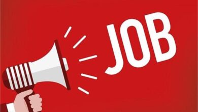 Photo of पंजाब: पंजाब सरकार ने इस विभाग में निकाली बंपर भर्तियां, जल्द करें अप्लाई
