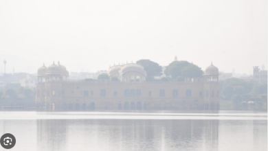 Photo of राजस्थान मौसम अपडेट:घने कोहरे की चपेट में राजस्थान