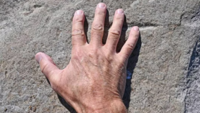 Photo of जानिए प्राचीन समय में अपने हाथों की उंगलियां क्यों काटते थे लोग