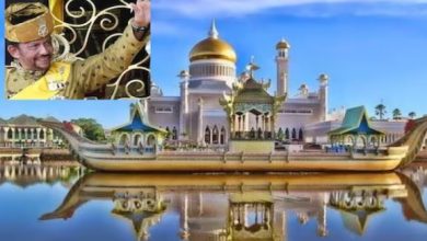 Photo of रईसी हो तो ऐसी… 50 अरब का महल, ब्रुनेई के सुल्तान की लग्जरियस लाइफ की झलक!