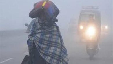 Photo of हरियाणा के इन 14 जिलों में घनी धुंध का अलर्ट: शून्य तक पहुंचेगी विजिबिलिटी