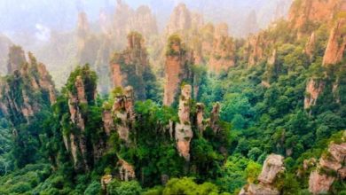 Photo of धरती पर मौजूद है पहाड़ों का जंगल, जहां पेड़ों जैसी उगी पड़ी हैं पहाड़ी चोटियां!