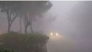 Photo of दिल्ली-यूपी सहित पूरे उत्तर भारत में बढ़ेगी ठंड, इन राज्यों में आज बारिश के आसार