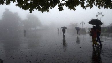 Photo of रेड अलर्ट पर पंजाब, इस दिन होगी बारिश