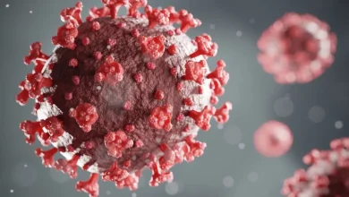 Photo of देश के कई राज्यों में तेजी से बढ़ रहे कोरोना के नए वेरिएंट के मामले