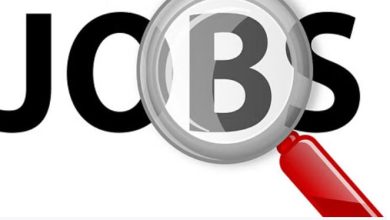 Photo of NHB Recruitment 2024: वरिष्ठ बागवानी अधिकारी की निकली भर्ती