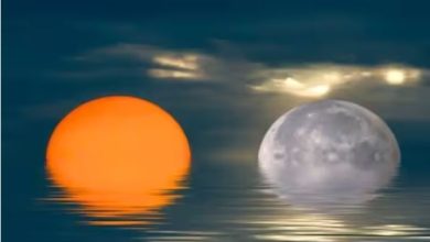 Photo of सूर्य चंद्रमा से 400 गुना बड़ा, लेकिन धरती से दोनों बराबर नजर आते हैं ऐसा क्‍यों? जानिए