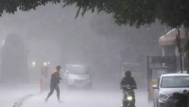 Photo of पंजाब के मौसम को लेकर जारी हुई चेतावनी, आने वाले 3 दिन जरा संभलकर..
