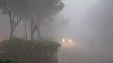 Photo of दिल्ली-यूपी में शीतलहर से और बढ़ेगी ठंड, यहां बारिश का अलर्ट