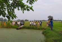 Photo of कानपुर: तालाब में उतराता मिला अज्ञात युवक का शव, शिनाख्त में जुटी है पुलिस