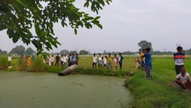 Photo of कानपुर: तालाब में उतराता मिला अज्ञात युवक का शव, शिनाख्त में जुटी है पुलिस