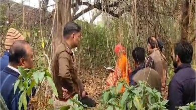 Photo of हरियाणा: ट्रक यूनियन के मुंशी का फंदे से लटका झाड़ियों में मिला शव