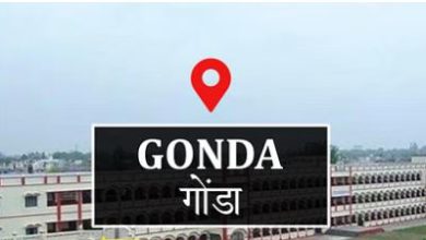 Photo of गोंडा: जांच में कम मिला 306 बोरी अनाज, लाइसेंस निलंबित