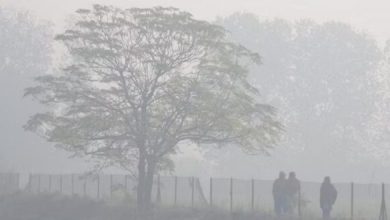 Photo of पंजाब में जानलेवा साबित हो रही है धुंध, कार पलटने से लेफ्टिनेंट कर्नल की मौत