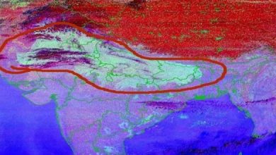 Photo of कोहरे का कहर: दिल्ली एयरपोर्ट पर 80 उड़ानों में देरी, यात्री परेशान