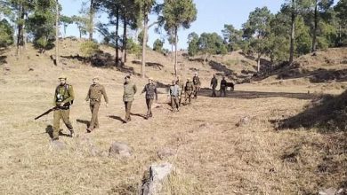 Photo of राजोरी में सरकार ने वन रक्षकों को भी थमाए हथियार, अब आतंकियों का होगा सफाया